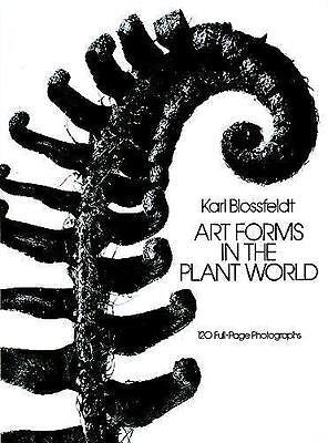 ART FORMS IN THE PLANT WORLD - KARL BLOSSFELDT (PAPERBACK) NEW