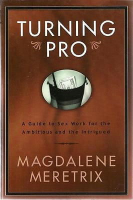 Turning Pro: A Guide to Sex Work for the Ambitious and