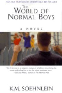 The World of Normal Boys : A Novel by K. M. Soehnlein (2001, Paperback)