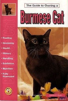 Guide to Owning a Burmese Cat - Justine O'Flynn - New Softcover