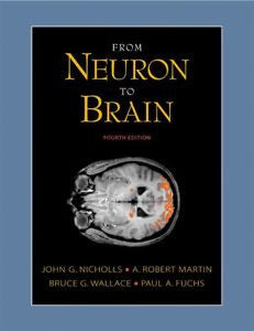 From Neuron to Brain: A Cellular and Molecular Approach to the Function of the N